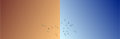monitor test 4