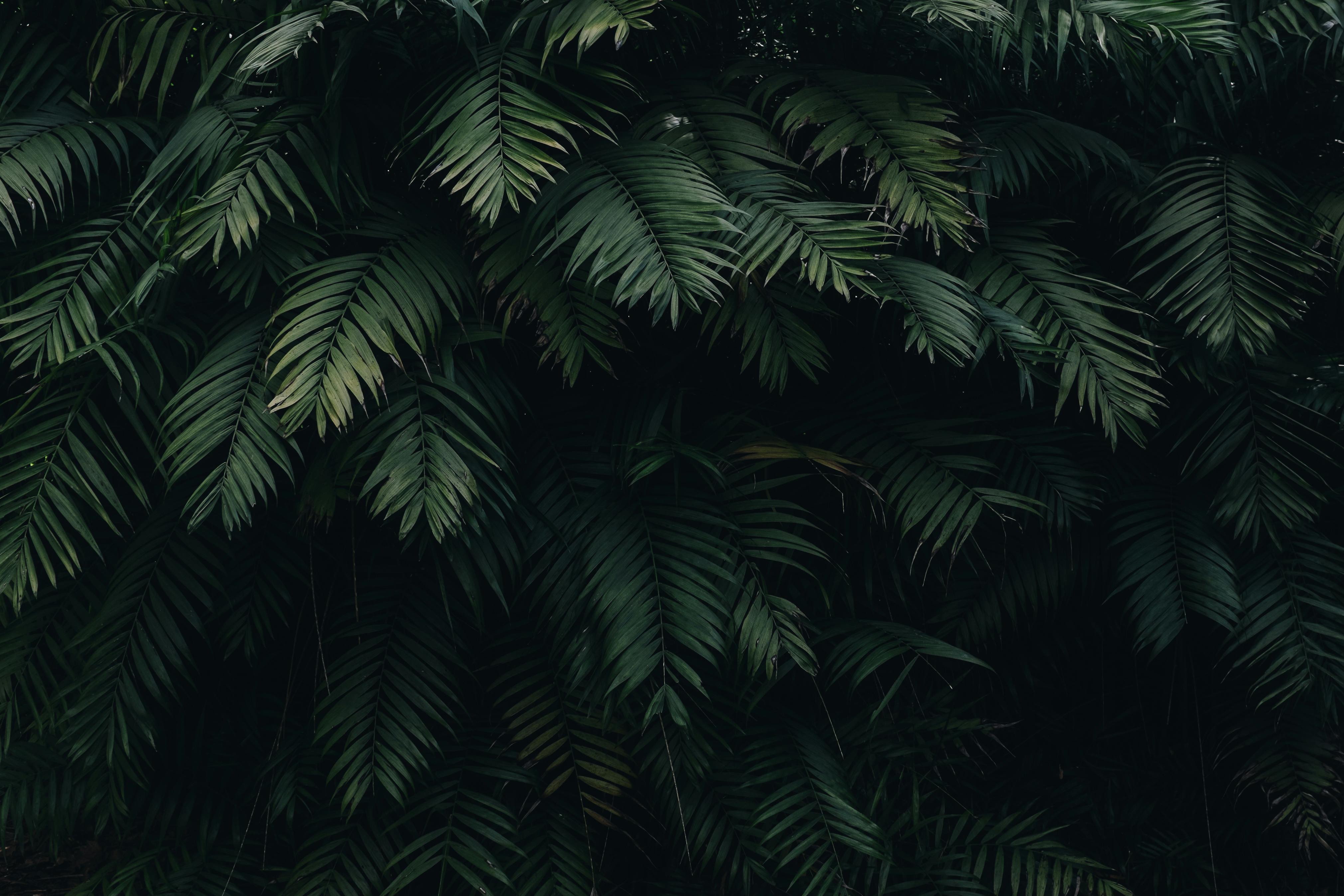 monitor test 01