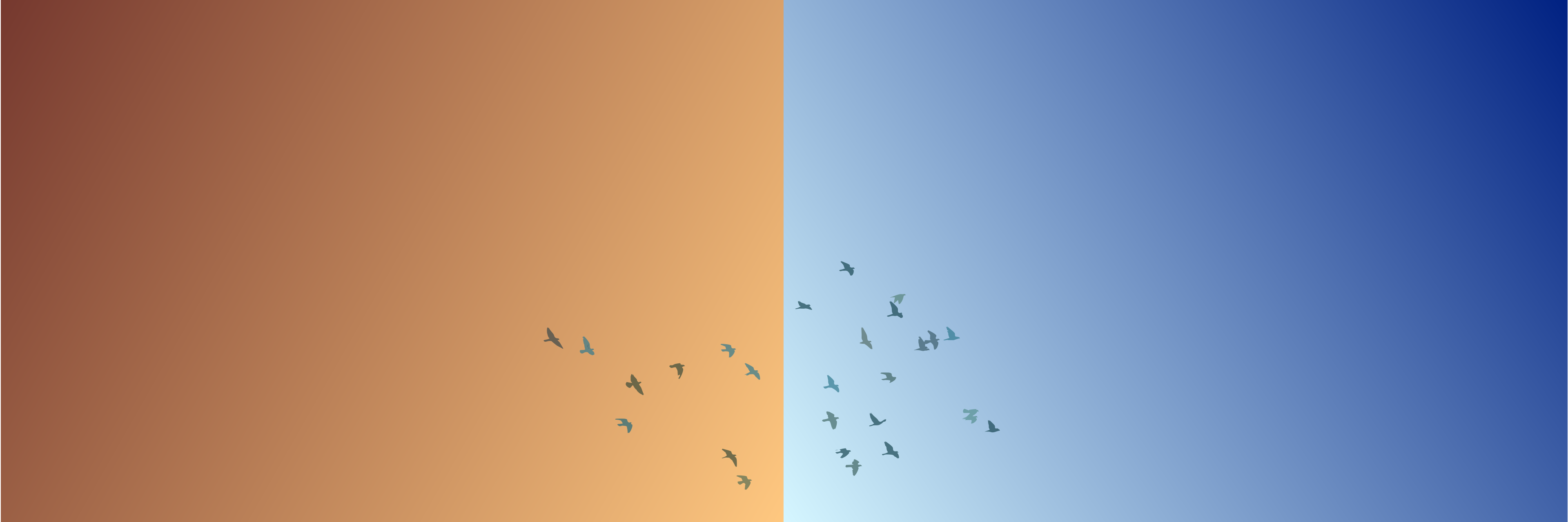 monitor test 4
